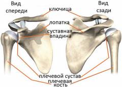 повторный вывих плеча