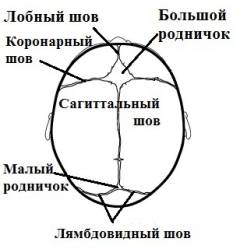 Микроцефалия у детей что это за болезнь симптомы и причины развития. Смотреть фото Микроцефалия у детей что это за болезнь симптомы и причины развития. Смотреть картинку Микроцефалия у детей что это за болезнь симптомы и причины развития. Картинка про Микроцефалия у детей что это за болезнь симптомы и причины развития. Фото Микроцефалия у детей что это за болезнь симптомы и причины развития