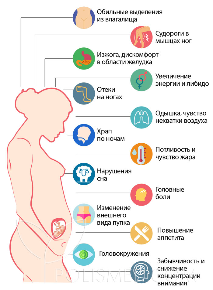 20 недель беременности сколько. Симптомы 20 недели беременности. Грудь на 20 недели. Грудь на 20 неделе беременности. Либидо на первых неделях беременности.