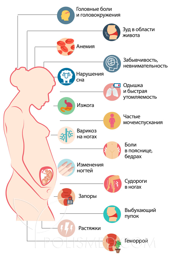 29 неделя беременности болит низ живота. Органы на 29 неделе беременности. 29 Неделя беременности расположение. Размер ребенка на 29 неделе беременности.