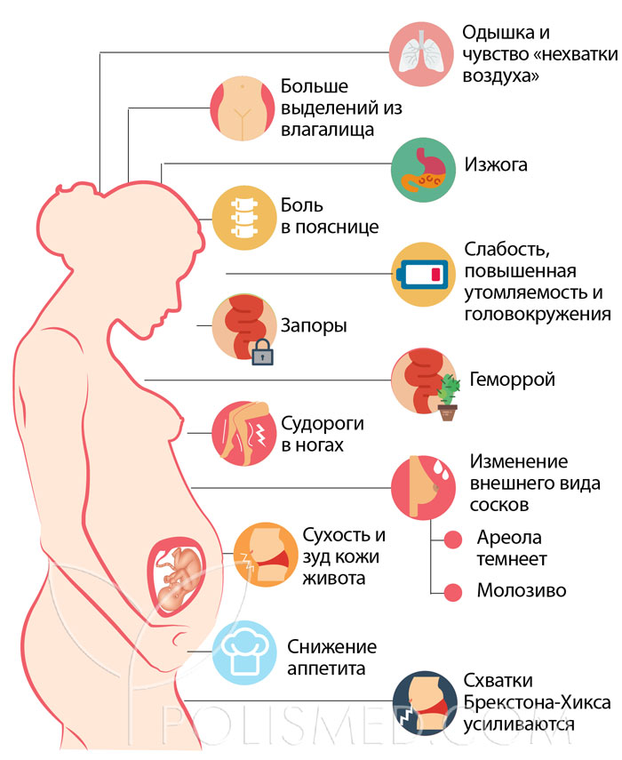 Секс Позы Во Время Беременности