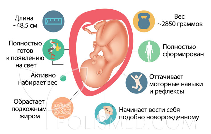 37 неделя беременности ощущение что хочется в туалет по большому