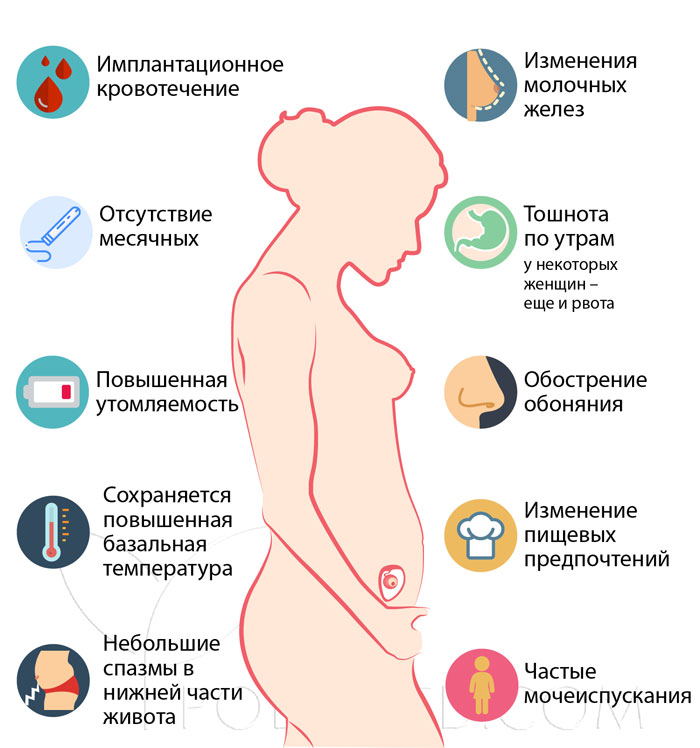 Три недели беременности покажет ли тест