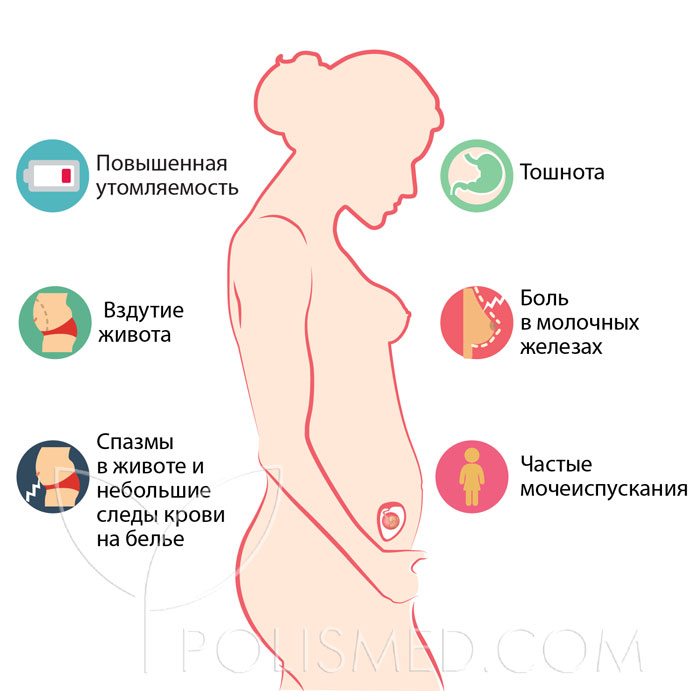 6 нед это сколько дней