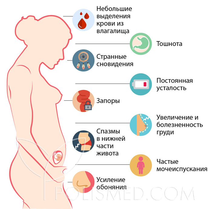 Могут ли на 8 неделе беременности быть месячные