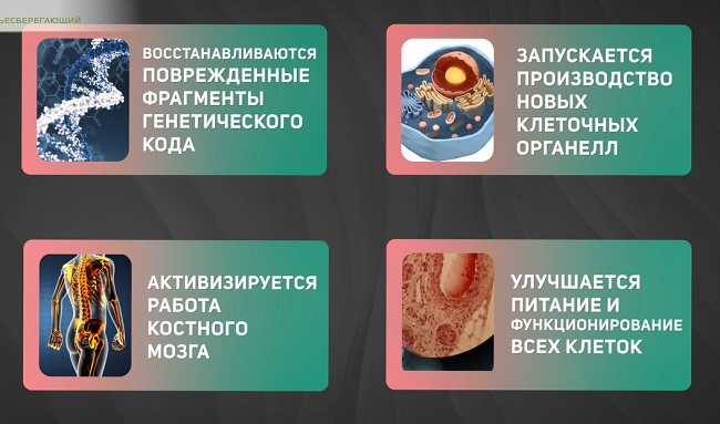 Эффекты статодинамических упражнений