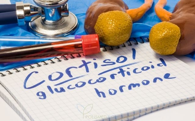 Функции кортизола