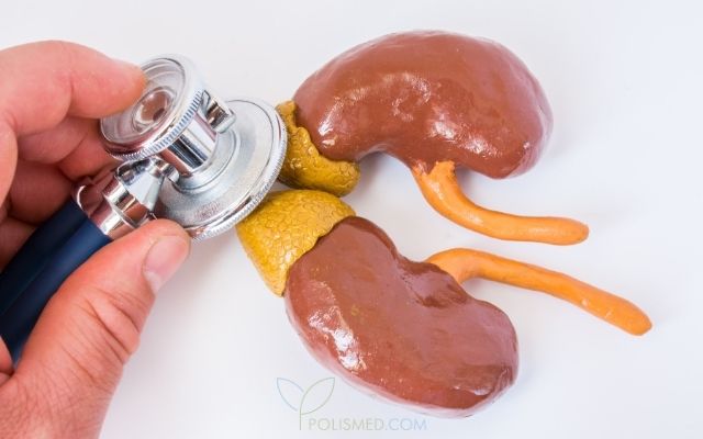 Кортизол и заболевания