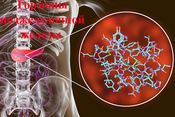 Гормоны поджелудочной железы