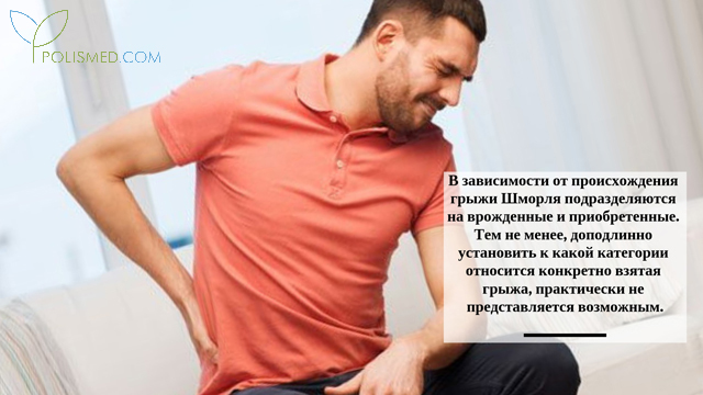 Причины грыжи Шморля