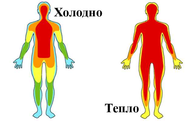 Холодно слабость. Чувство холода в теле. Ледяные руки и ноги у взрослого при нормальной температуре причины. Почему ледяные ноги при нормальной температуре тела. Почему при повышении температуры тела ледяные руки и ноги.