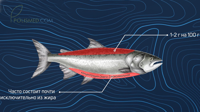 Продукты с высоким содержанием Омега-3