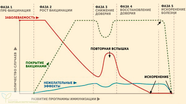 Через какое время наступает