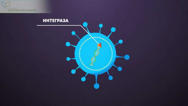 векторная вакцина что это такое простыми словами. Смотреть фото векторная вакцина что это такое простыми словами. Смотреть картинку векторная вакцина что это такое простыми словами. Картинка про векторная вакцина что это такое простыми словами. Фото векторная вакцина что это такое простыми словами