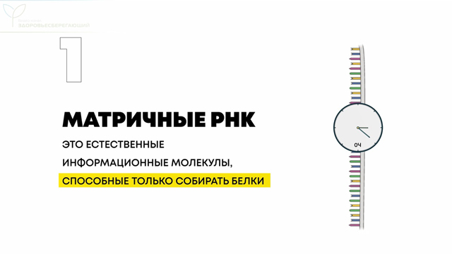 векторная вакцина что это такое простыми словами. Смотреть фото векторная вакцина что это такое простыми словами. Смотреть картинку векторная вакцина что это такое простыми словами. Картинка про векторная вакцина что это такое простыми словами. Фото векторная вакцина что это такое простыми словами